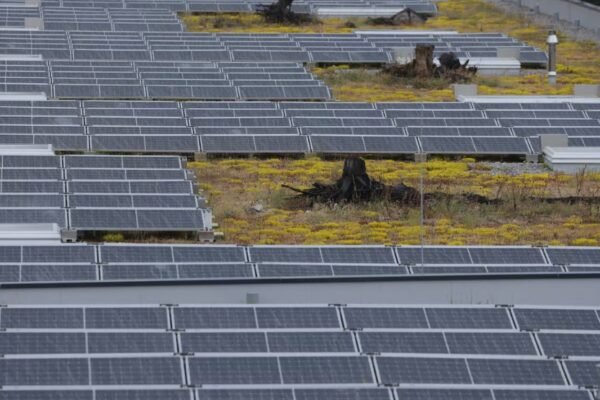EU’s green tech ambitions face uphill battle against global rivals