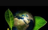 Eco-Friendly Tech Gadgets Are Transforming the Industry with Sustainable Value Chain Innovations