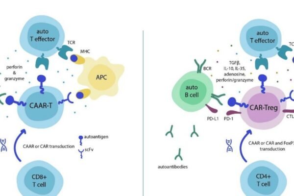 Fighting Ageing and Chronic Diseases with CAR-T Technology
