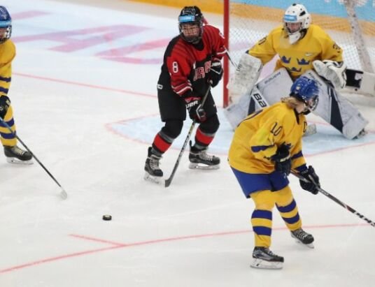 Hockey Fight Ends In Totally Unexpected Way