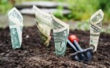 How To Grow Your Small Business In 2023: Five Effective Strategies