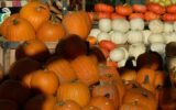 How a crumble bakery survived the pandemic with pumpkins