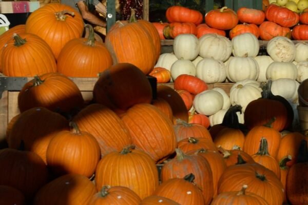 How a crumble bakery survived the pandemic with pumpkins