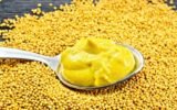 Yellow Mustard Leads the Global Prepared Mustard Market Growth