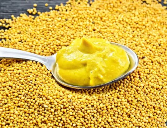 Yellow Mustard Leads the Global Prepared Mustard Market Growth