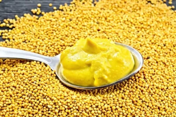 Yellow Mustard Leads the Global Prepared Mustard Market Growth