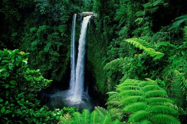 CORAC: A New Initiative to Promote Responsible Management of Natural Resources in the DRC