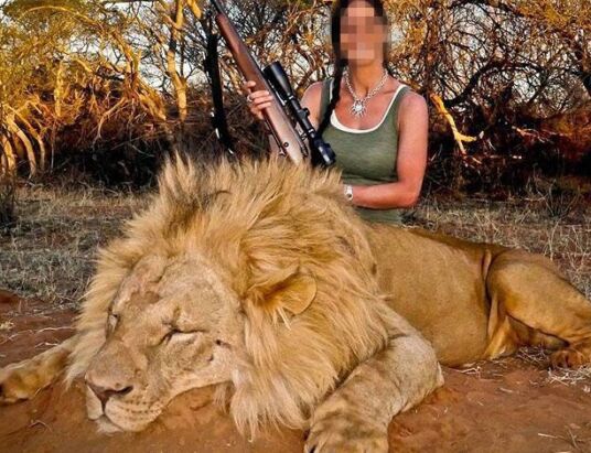 Dark Side of Trophy Hunting: How the Blood Sports Trade Threatens Wildlife and Humanity