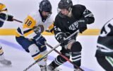 Duxbury and Shrewsbury lead the pack in EMass girls’ hockey rankings