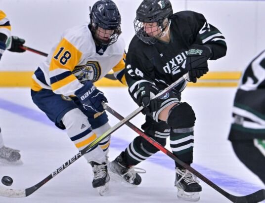 Duxbury and Shrewsbury lead the pack in EMass girls’ hockey rankings