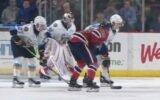 ECHL player gets penalty for shooting chicken nugget into stands