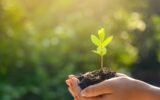 EY launches new green initiatives to support China’s carbon neutrality goal