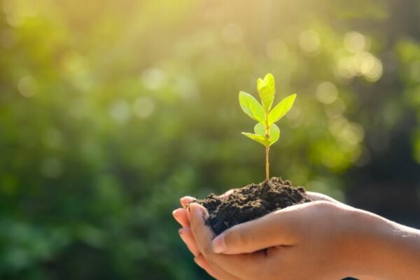 EY launches new green initiatives to support China’s carbon neutrality goal