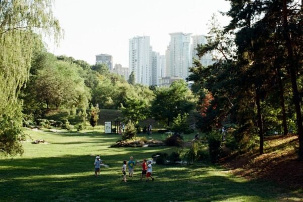 Forest Park launches citywide plan to improve its appearance and livability