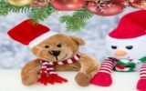 Houston-based SCDC Partners with Good Gang USA to Bring Joy to the Community