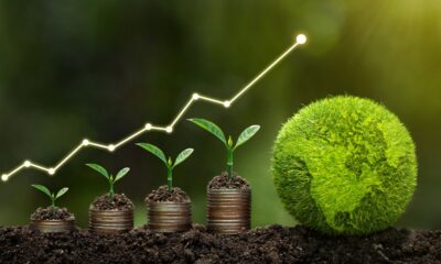 Indonesian Banks to Face Climate Risk Stress Tests from 2026