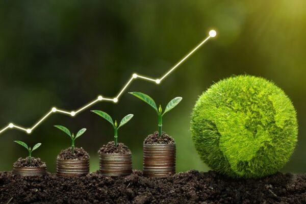 Indonesian Banks to Face Climate Risk Stress Tests from 2026