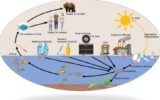 Matter: The Company That Aims to Stop Microplastic Pollution With Innovative Technology