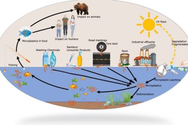 Matter: The Company That Aims to Stop Microplastic Pollution With Innovative Technology