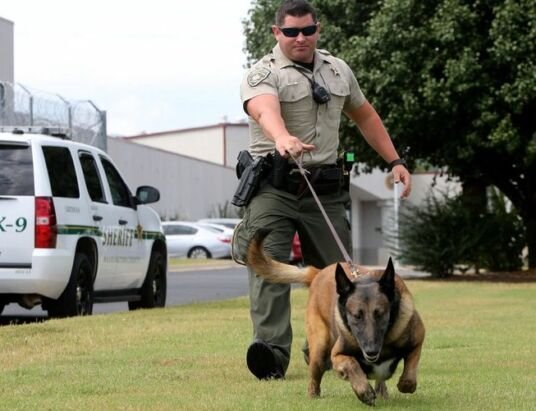 Sheriff seeks more funding for staff and equipment