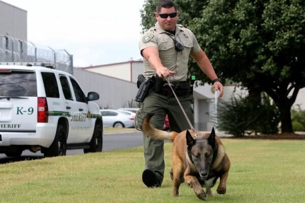 Sheriff seeks more funding for staff and equipment