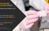 Silver Wound Dressings Market Surges Amid Rising Demand for Antimicrobial Dressings