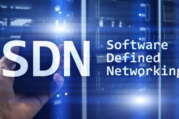 Software Defined Networking: A Booming Market with Huge Potential
