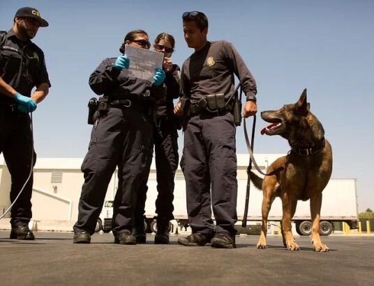 A Hero’s Farewell: Clayton County K-9 Officer Retires After 10 Years of Service