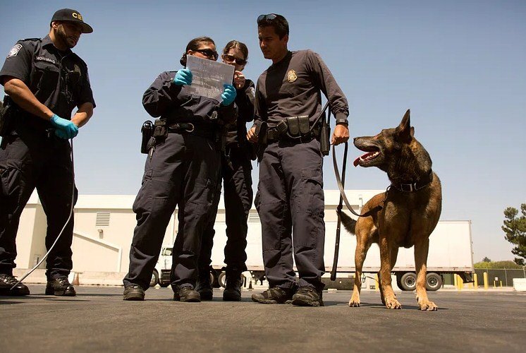 A Hero’s Farewell: Clayton County K-9 Officer Retires After 10 Years of Service