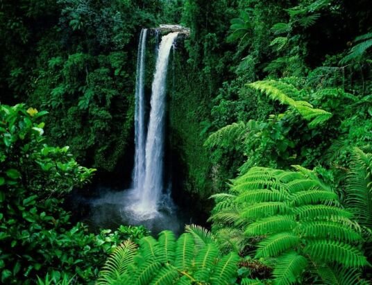 Forest Park Receives Recognition and Funding from State Agency