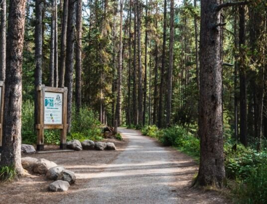 Forest Park Residents Invited to Dispose of Junk at Clean Sweep Event