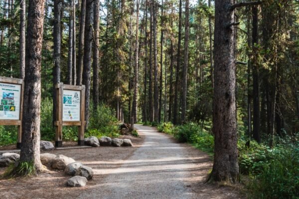 Forest Park Residents Invited to Dispose of Junk at Clean Sweep Event