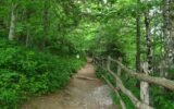 Georgia Hikes Up Entry Fees for Its Natural Reserves