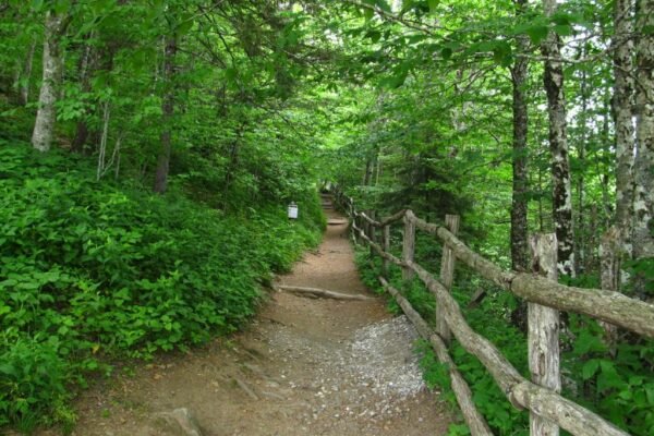 Georgia Hikes Up Entry Fees for Its Natural Reserves