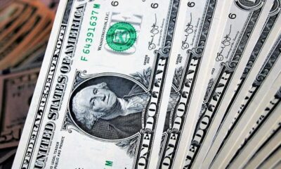 How the Georgian Lari Appreciated Against the US Dollar and the Euro
