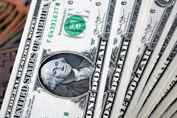 How the Georgian Lari Appreciated Against the US Dollar and the Euro