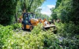 One person killed, another injured as huge tree falls on car in Woodend