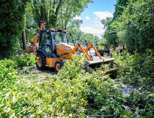 One person killed, another injured as huge tree falls on car in Woodend