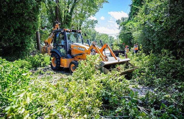 One person killed, another injured as huge tree falls on car in Woodend