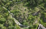 Tbilisi Urban Forest Project Shortlisted for EU Architecture Award