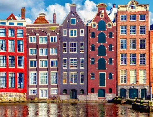 Amsterdam Leads the Way in Supporting Global Plant-Based Treaty