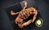 Georgia’s Appetite for Crabs Surges by 520%