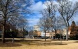 Georgia’s Universities Embrace Veganism for a Greener Future