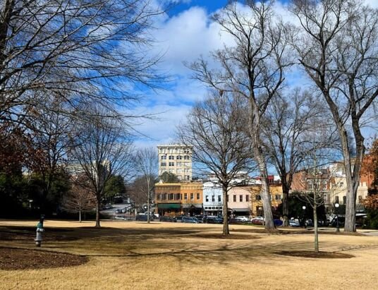 Georgia’s Universities Embrace Veganism for a Greener Future