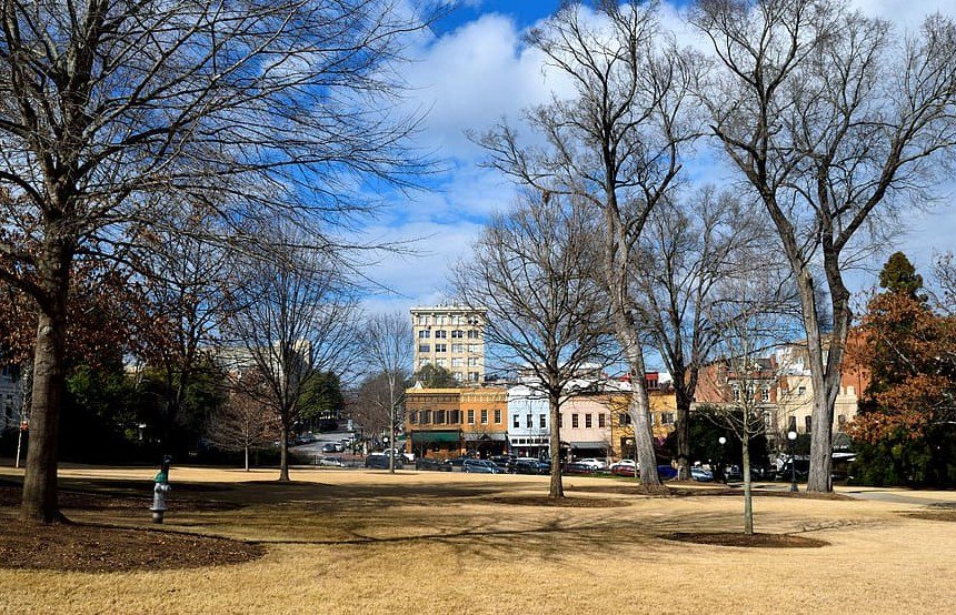 Georgia’s Universities Embrace Veganism for a Greener Future