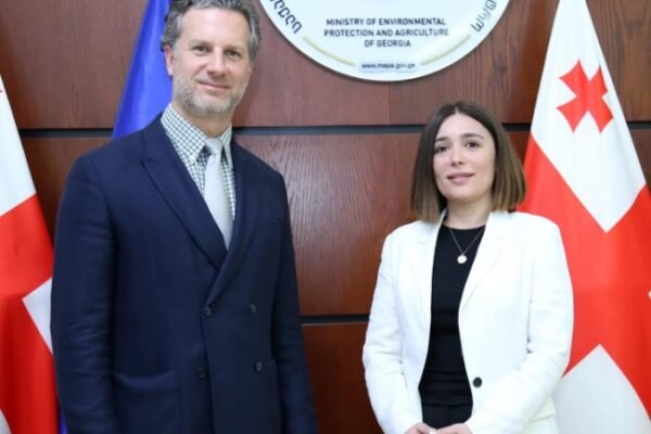 Georgian health ministry leadership change