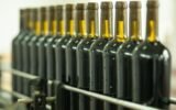 Georgia’s Wine Export Boom: A Success Story of Quality, Diversity and Innovation