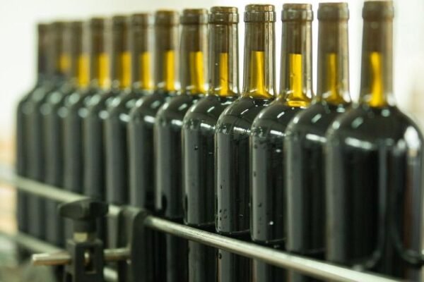 Georgia’s Wine Export Boom: A Success Story of Quality, Diversity and Innovation