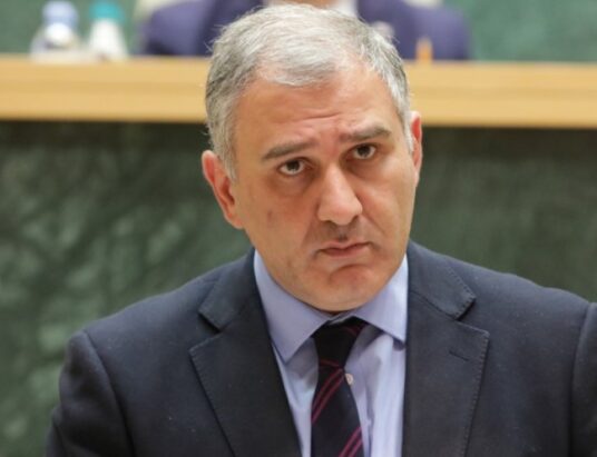 Mikheil Sarjveladze health minister Georgia