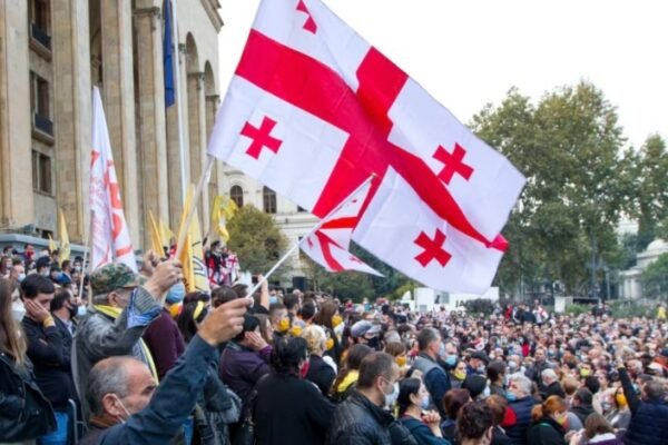 Georgia Parliament Protest Rally